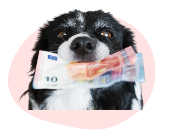 imagen-perro-dinero